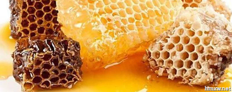 蜂胶在蜂巢的什么地方，附来源及用途