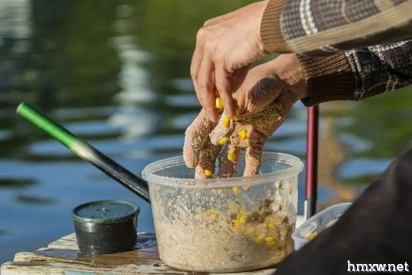 钓鱼时如何在饵料中使用甜菜碱