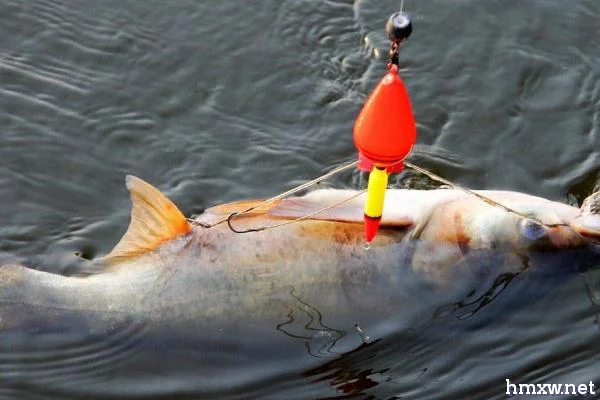 海竿能不能钓鲢鱼，适合在广阔水域之中使用