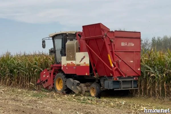 玉米收割机跑粮如何处理，可根据秸秆的高度调整拔禾轮